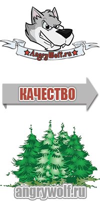 Коллекция толстовок